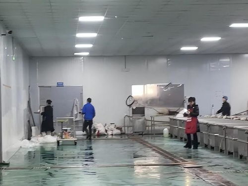 鹿哈毛肚爆單三千萬 品質危機與供應鏈誰人兜底？